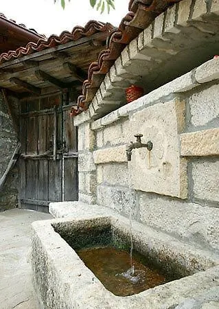 The House With The Vine *